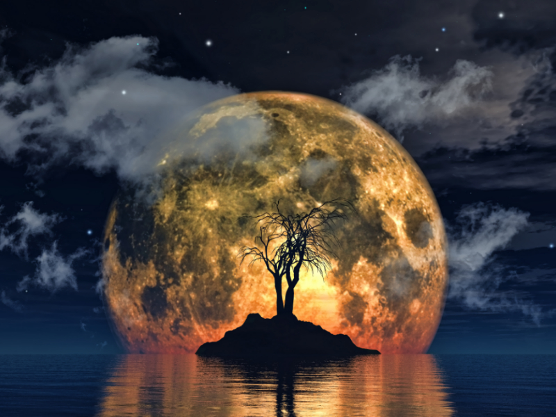 Lunar Eclipse 2023: இந்த 2023 ஆம் ஆண்டின் முதல் சந்திர கிரகணம்…கர்ப்பிணிகள் உஷார்..!