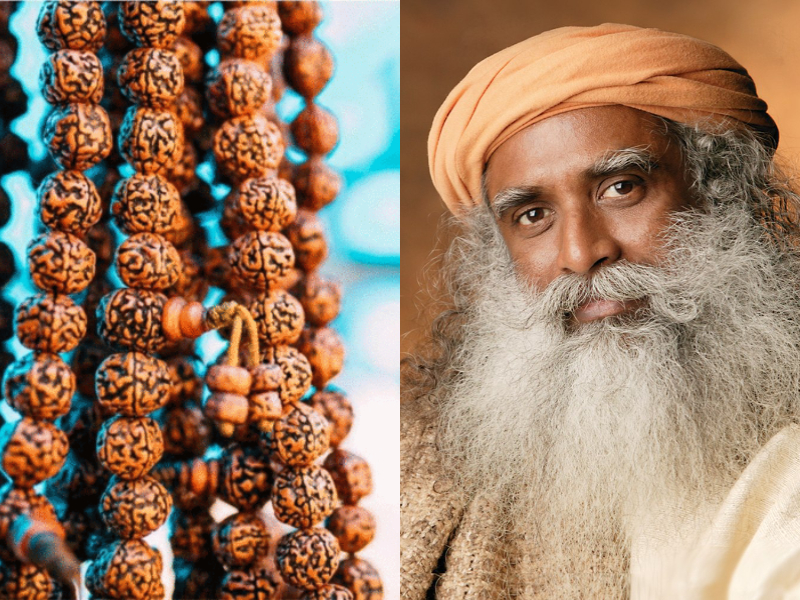 Rudraksha benefits Rudraksha